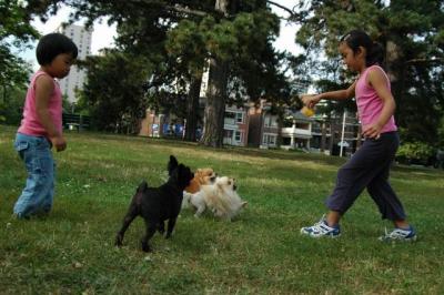 Aug22a_04_220.JPG