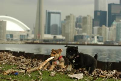 May4_05_001.JPG