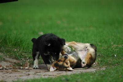 May4_05_009.JPG