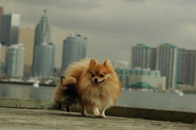 May4_05_027.JPG