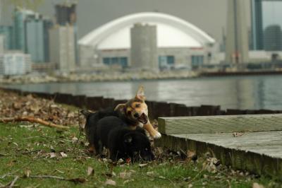 May4_05_031.JPG
