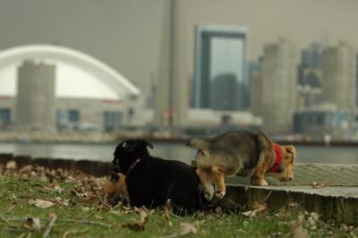 May4_05_032.JPG