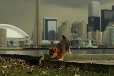 May4_05_033.JPG