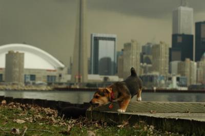 May4_05_034.JPG