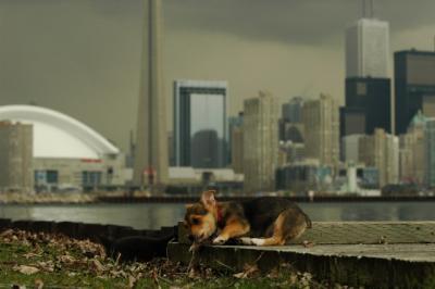 May4_05_035.JPG