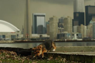 May4_05_038.JPG