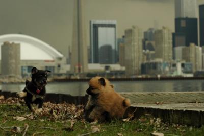 May4_05_043.JPG