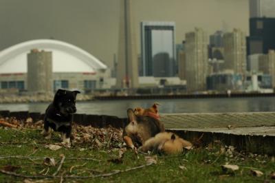 May4_05_044.JPG