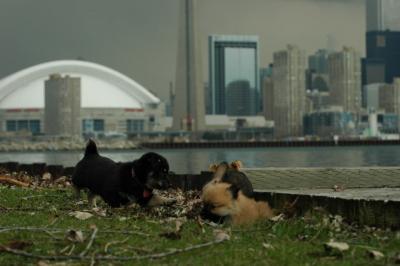 May4_05_045.JPG