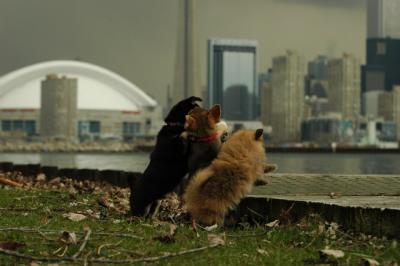 May4_05_046.JPG