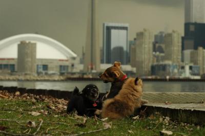 May4_05_047.JPG
