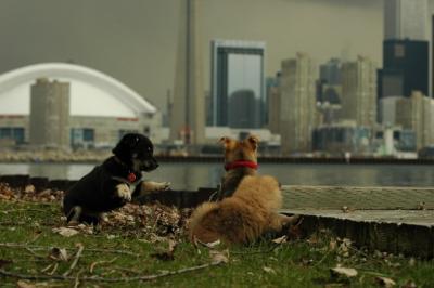 May4_05_048.JPG