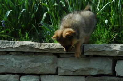 May5_05_133.JPG