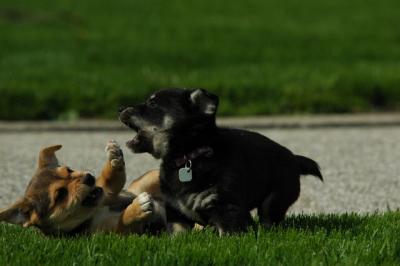 May5_05_138.JPG