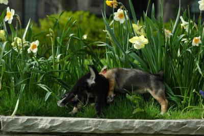 May5_05_140.JPG