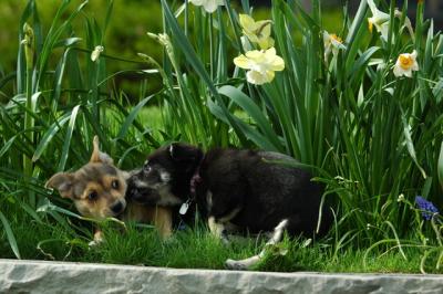 May5_05_143.JPG