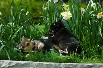 May5_05_144.JPG