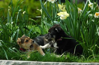 May5_05_145.JPG