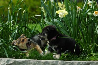 May5_05_146.JPG