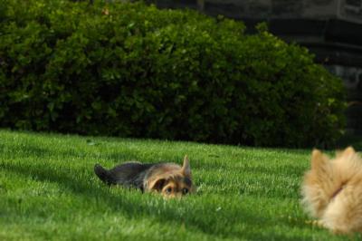 May5_05_163.JPG