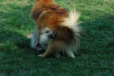 May7_05_288.JPG