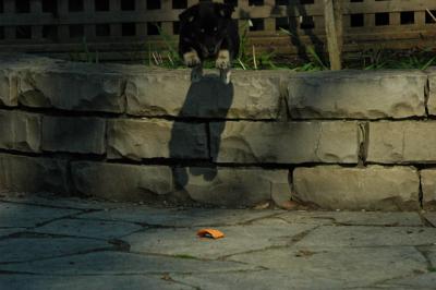 May7_05_298.JPG