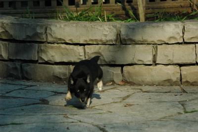 May7_05_299.JPG