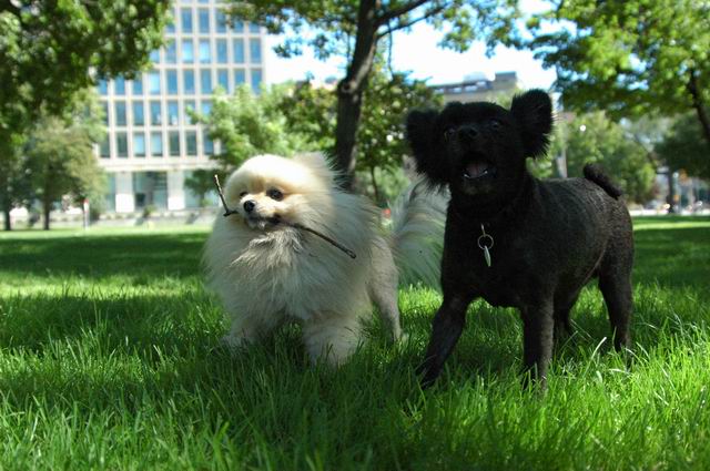 Aug21_04_230.JPG