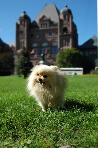 Aug21b_04_062.JPG