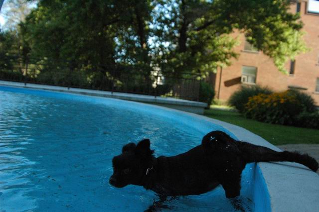 Aug21d_04_583.JPG