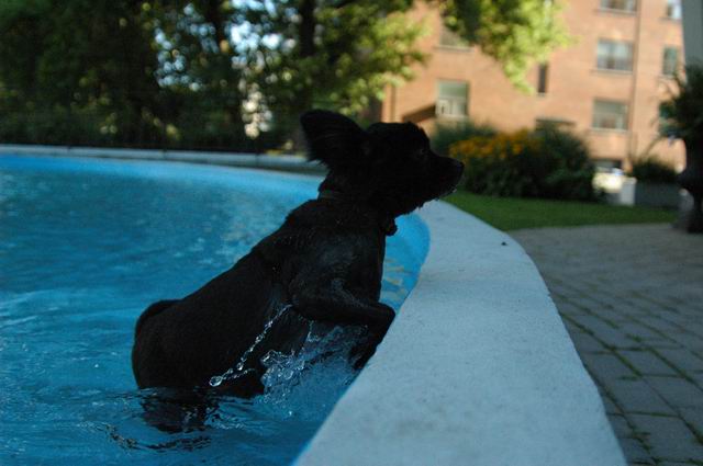 Aug21d_04_591.JPG