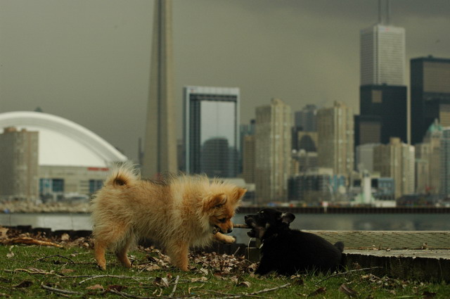 May4_05_078.JPG