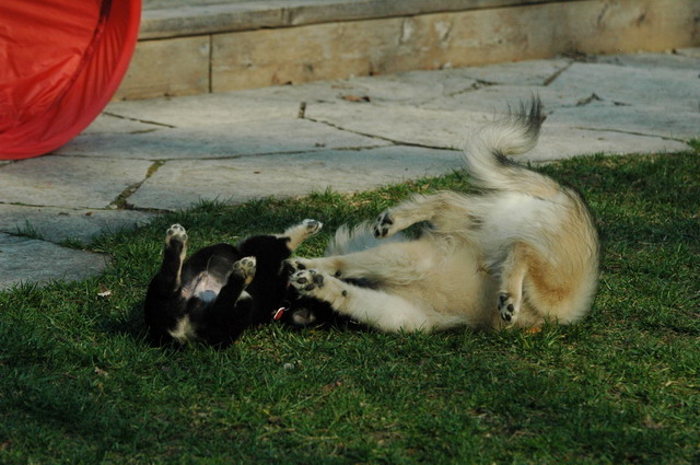 May7_05_256.JPG