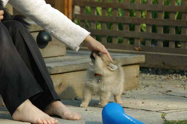 May7_05_272.JPG