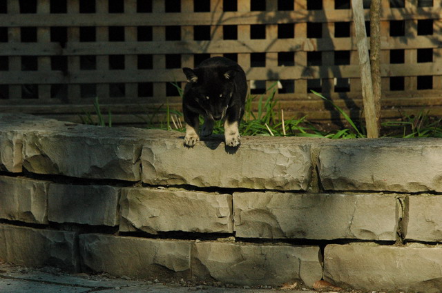 May7_05_296.JPG
