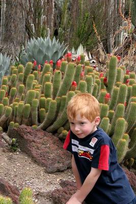 Jake in the Cactus