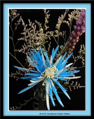 BLue4.jpg