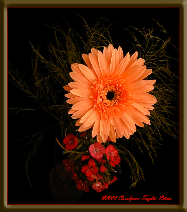 Another flower from the bouquet....