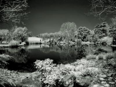 IMG_9446bw.jpg