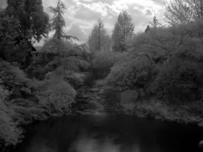 IMG_9715bw.jpg