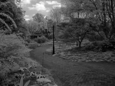 IMG_9720bw.jpg