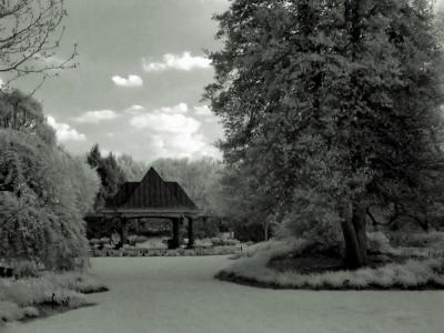 IMG_9725.jpg