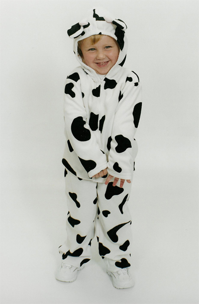 Morgan-Cow-1-Edit-Web.jpg