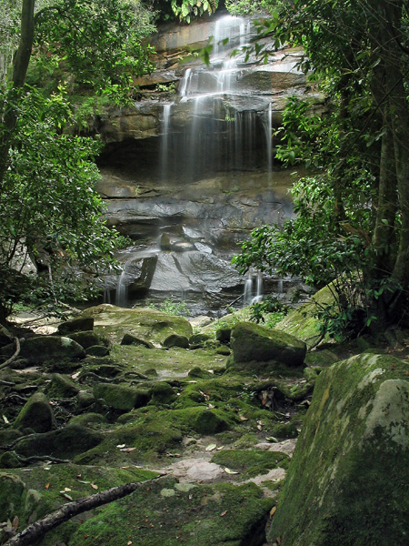 Engadine falls