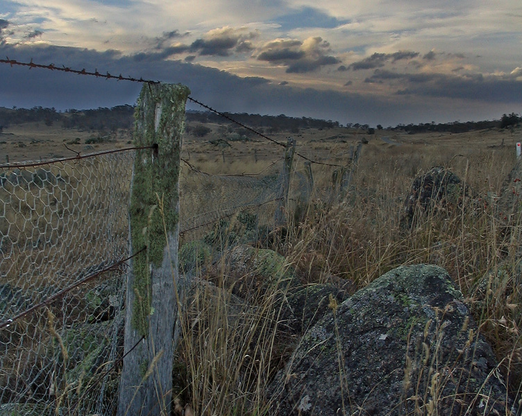 fenceline at sunset