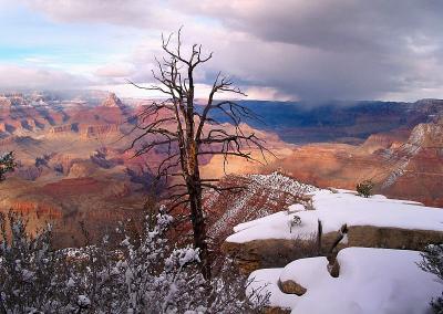 Winter Evening, Grand Canyon