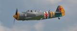 _DSC1795-01_web.jpg