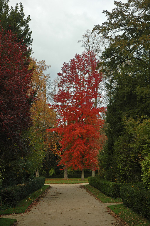 DSC_7276_web.jpg
