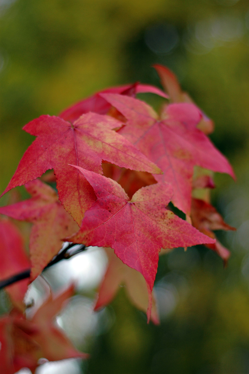 DSC_7306_web.jpg