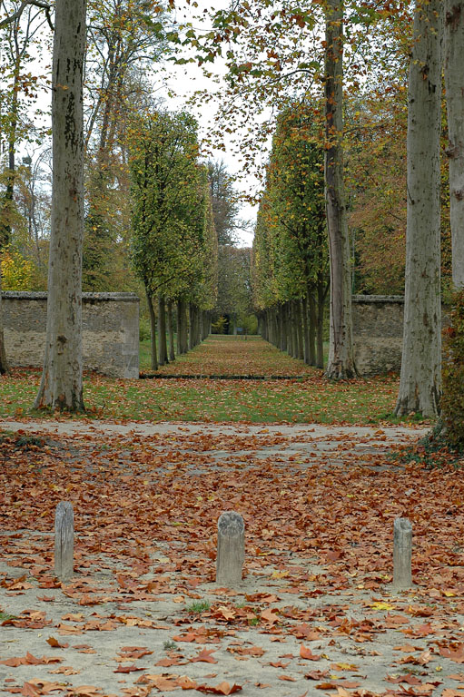 DSC_7311_web.jpg